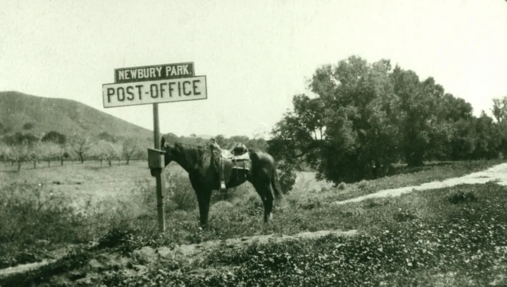 Black-and-white 1909 photo of a horse beside a post office sign in open country